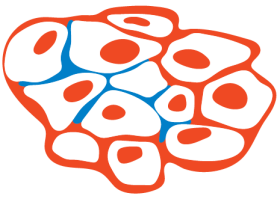 Centrum pro nádory kůže a&nbsp;melanom